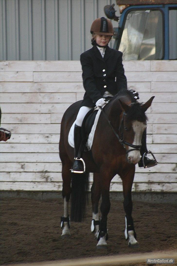 New Forest Malika Solgt :( - #14. Emilie & Malika til deres første stævne, de fik en 4. plads <3. billede 14