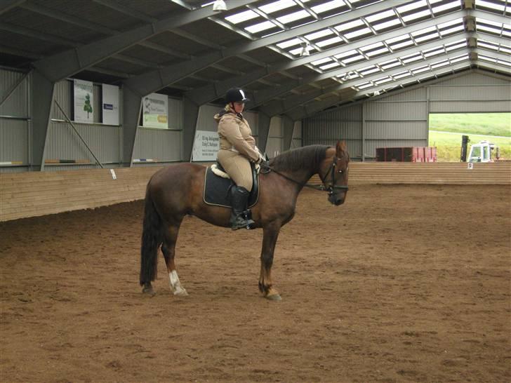 Anden særlig race Magic billede 16