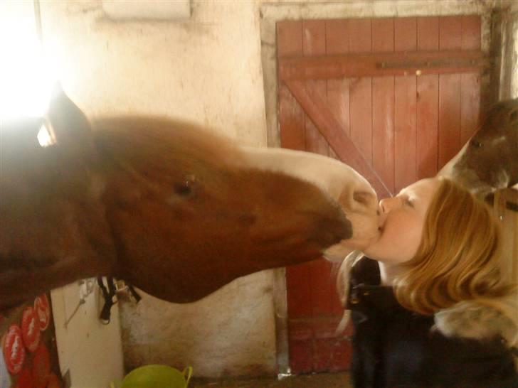 Anden særlig race AN-DRO - kys til den dejligeste :´D billede 9