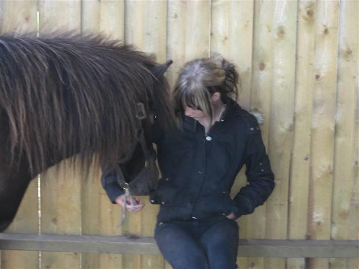 Islænder Svartur fra Hindø - Svartur og mig d; <3 billede 17