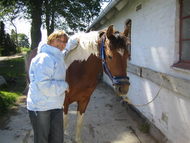 Pinto Lucky ( solgt ) billede 12