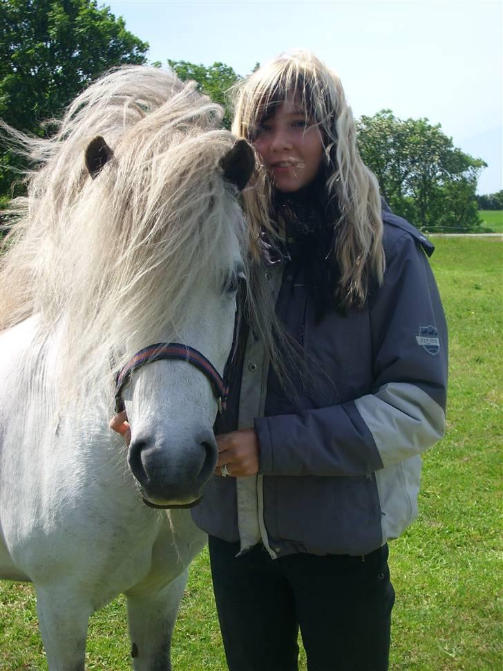 Islænder Frigg fra Donstedet (: <3 - hvem har mest hår? ;D billede 18