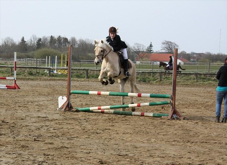 Anden særlig race Coka - GAMMEL PART - spring (: billede 2