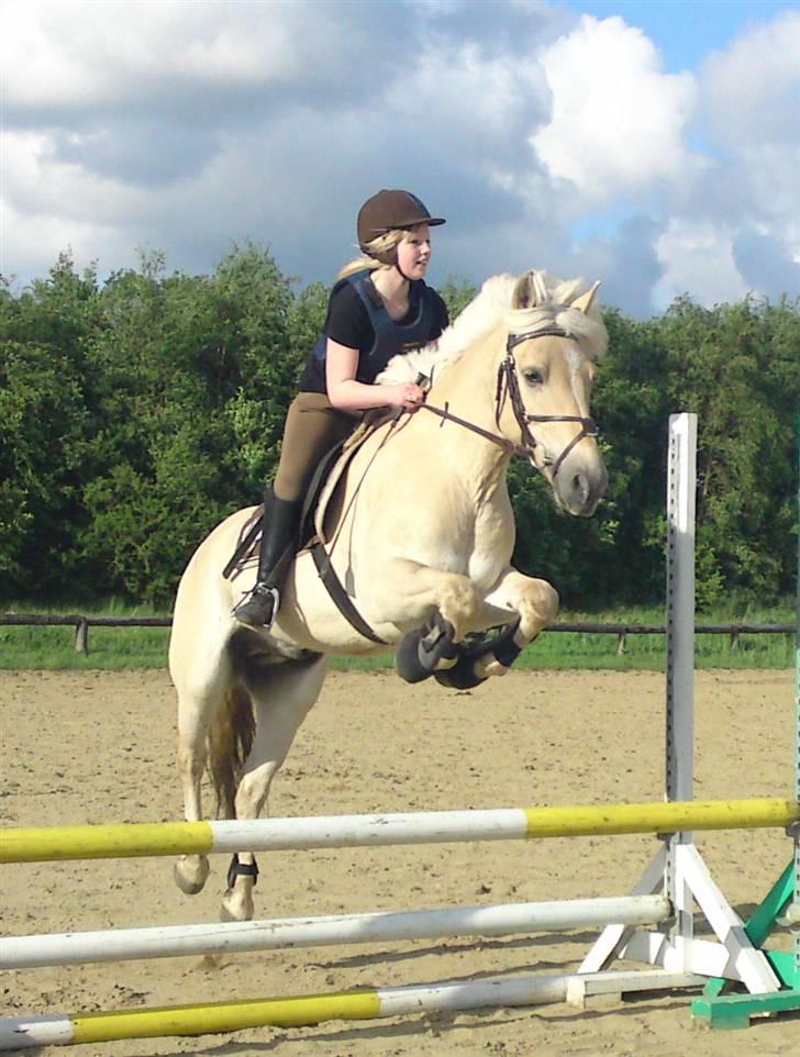 Anden særlig race Coka - GAMMEL PART - Spring igen (; billede 3