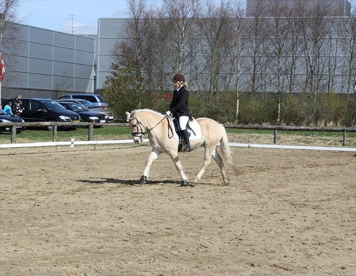 Anden særlig race Coka - GAMMEL PART - Stævne (: <3 billede 5