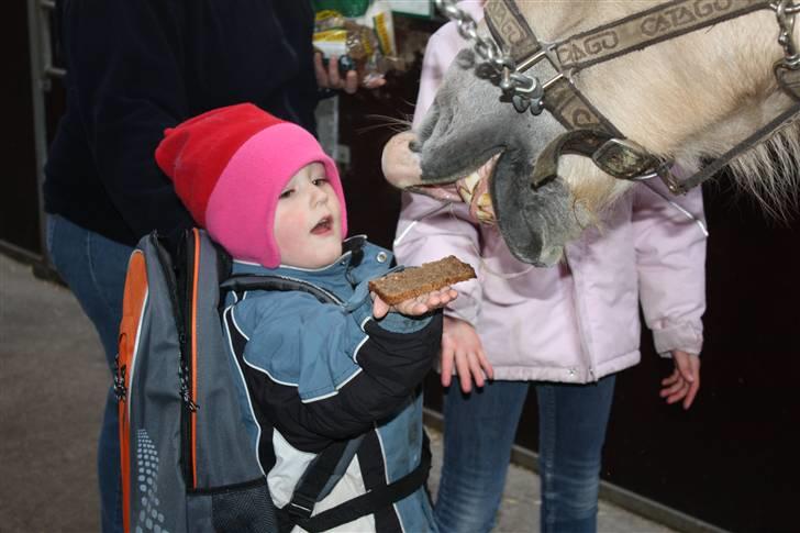 Anden særlig race Coka - GAMMEL PART - elsker det billed! - taget af Tit (: <3 billede 6