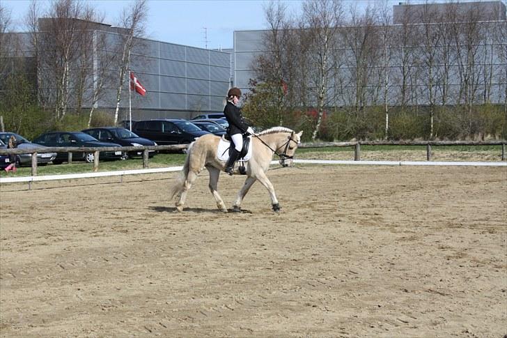 Anden særlig race Coka - GAMMEL PART - fra kærbostævnet, 2010 ;) <3 billede 7