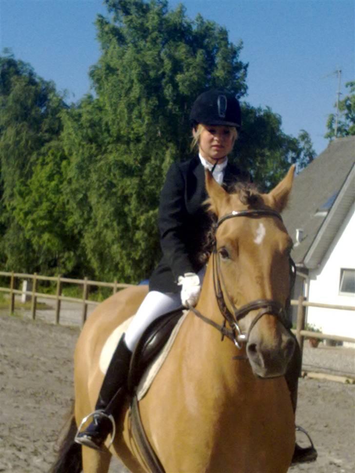 Anden særlig race Lukas   <3 - Mig og Lukas på opvarmnings banen...<3 billede 2