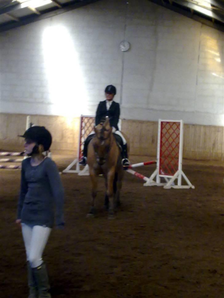 Anden særlig race Lukas   <3 - Mig og Lukas på vej ind til præmie over rækkelse... billede 3