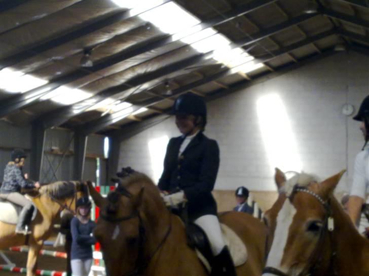 Anden særlig race Lukas   <3 billede 6