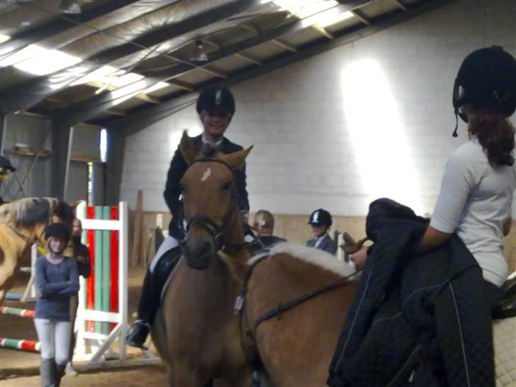 Anden særlig race Lukas   <3 - han vil bare ikke stå stille det hyber dyr !!! <´3 billede 7