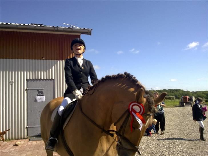 Anden særlig race Lukas   <3 - jes! vi vandt LCéren!!! billede 9