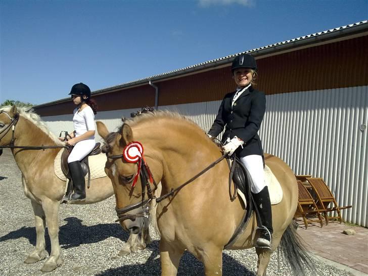 Anden særlig race Lukas   <3 - ihh,det er min mors skyld!, heh, hun elsker åbenbart at tage billeder... billede 10