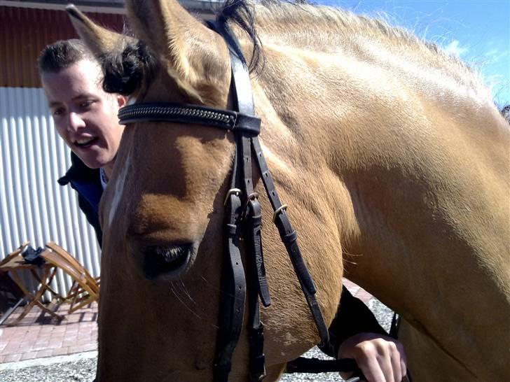 Anden særlig race Lukas   <3 - jeg skulle spise, så min søsters kæreste var nød til at holde vild dyret, han var den eneste der turde... heh <3 billede 11