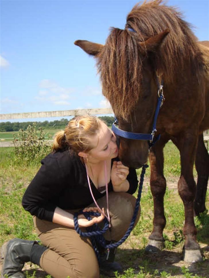 Islænder Svenni Fra Søtofte - ´´ A friend is someone who knows the song in your heart, and sings it back to you when you have forgetten the words.´´Fotograf: Sissel Borlund Jensen billede 4