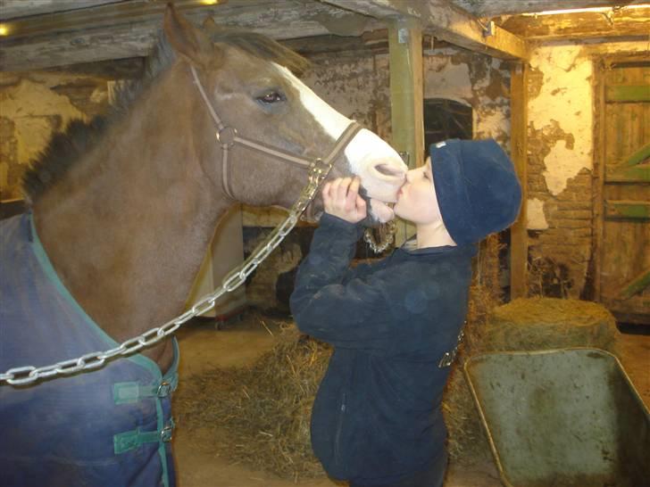 New Forest Midnight Fleur *Aflivet* - Fleur & Mig <3 Jeg elsker dig ! billede 8