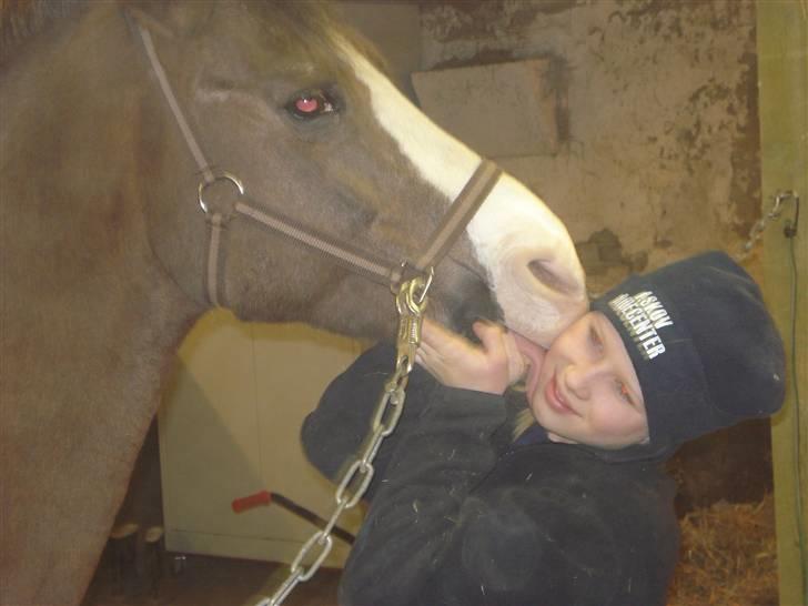 New Forest Midnight Fleur *Aflivet* - Fleur & Mig <3 billede 9