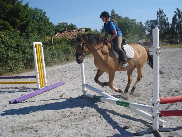 Anden særlig race Lukas   <3 - lukas springer et lille spring <3 billede 13