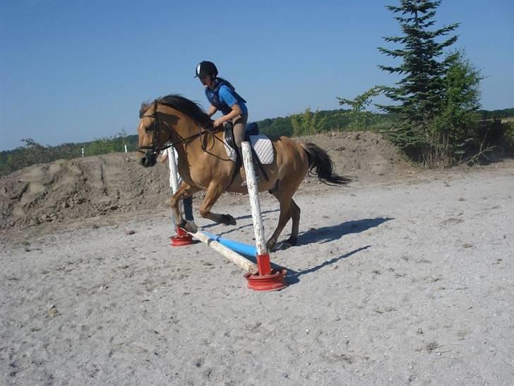 Anden særlig race Lukas   <3 - Lukas springer et lille spring<3 billede 15