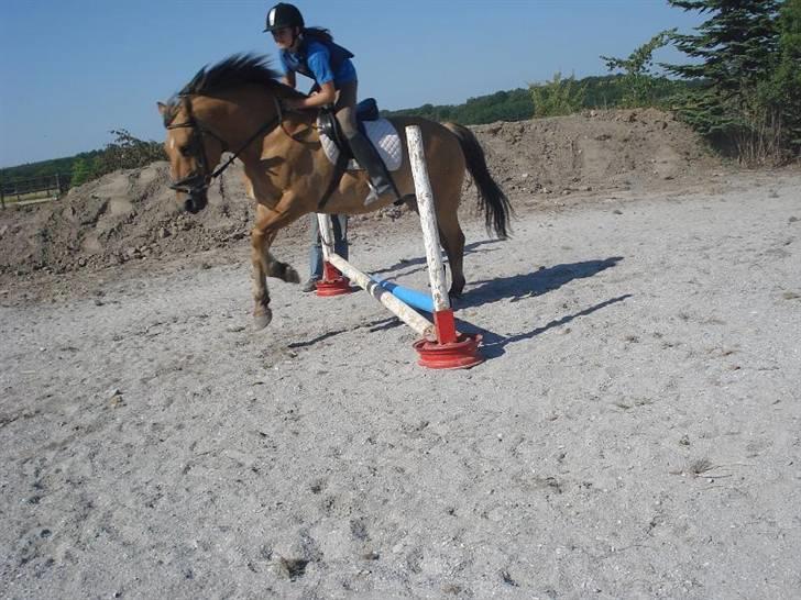 Anden særlig race Lukas   <3 - et lille hop <3 billede 17