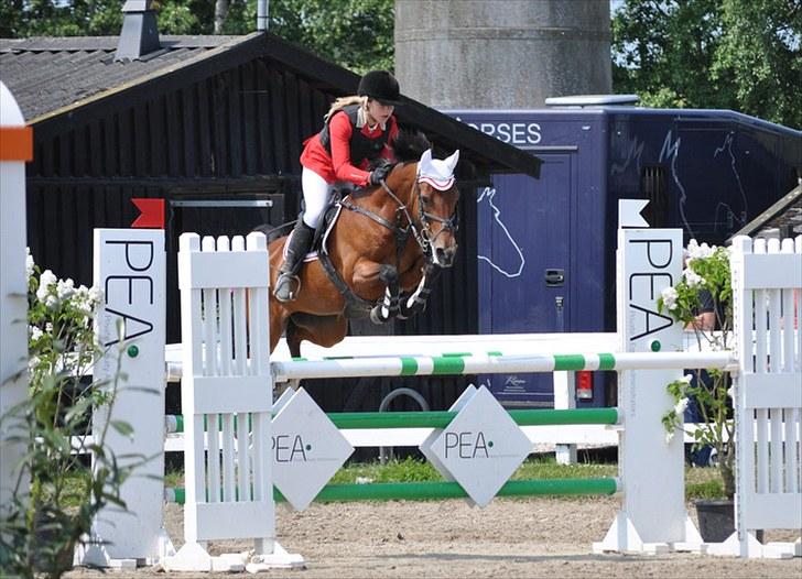 Connemara Søstholm Rapsody | A-pony - Velkommen til raps´ profil. (o: - her er vi i en SB til Hillerød landsstævne, (120 cm) taget af Cecilie! billede 1
