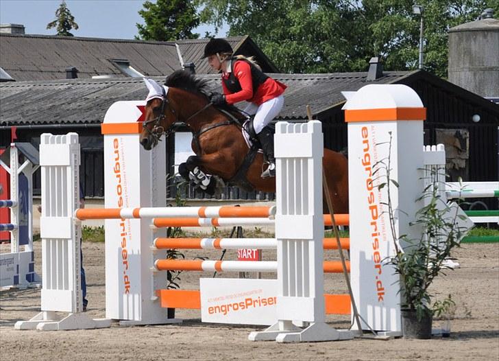 Connemara Søstholm Rapsody | A-pony - Hillerød landsstævne, SB (120 cm). billede 2