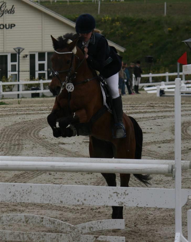 Connemara Søstholm Rapsody | A-pony - MB middelfart. 1.plads <3 billede 5