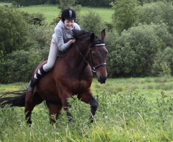 Oldenborg Tootsie - Ved ikke om jeg er ved at ryge af eller noget? :D {Foto: Max} billede 15