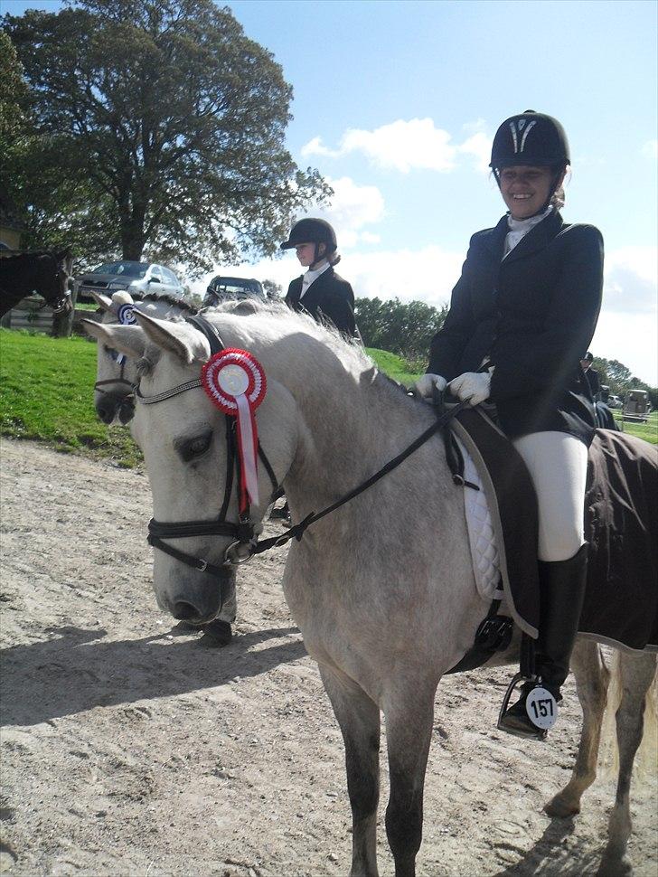 Welsh Pony (sec B) Fjordvangens Evian - Vores første LB2 ;D <3 billede 8