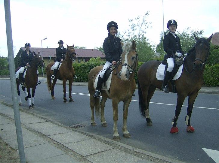 Haflinger Valerie - På vej til konfirmation den 20. Marts 2011. billede 9