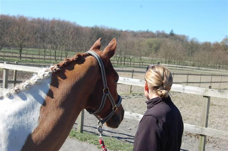 Anden særlig race Kenny<3<3 - Jeg ved ikk lige hvad vi kigger på! Men det må være spændene! (: <3 Foto: Helene billede 8