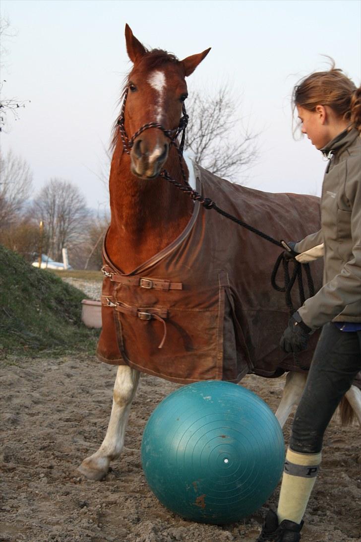 Anden særlig race Kenny<3<3 -  Jeg vil ikke mor! Foto: Lillesøster billede 9