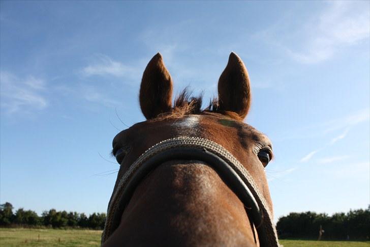 Anden særlig race Kenny<3<3 - Hej med dig! Foto: Mig billede 10