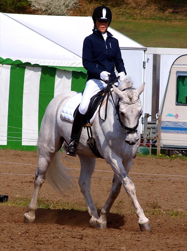 Connemara Hesselholts Casano B-pony - MORSØ 2010! <3 billede 16