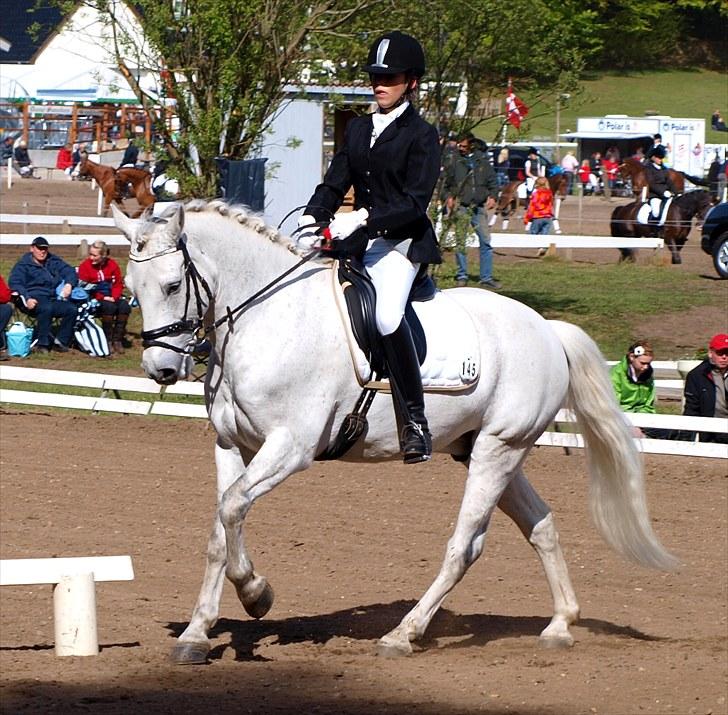 Connemara Hesselholts Casano B-pony - MORSØ 2010! <3  billede 20