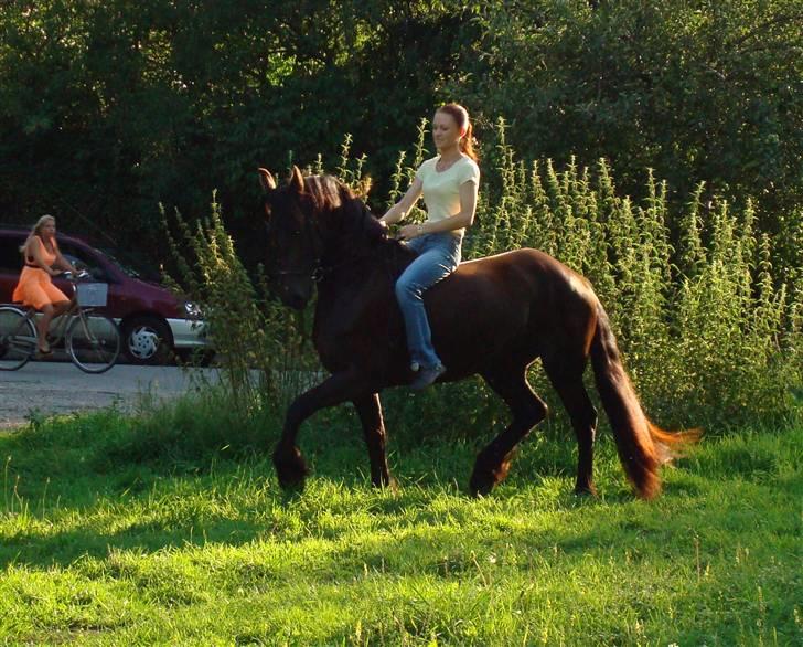 Frieser Laura ( Solgt ) billede 2