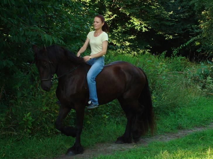 Frieser Laura ( Solgt ) billede 11