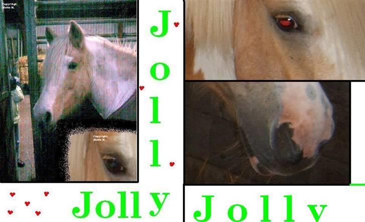 Anden særlig race Jolly - Et billede med et par billeder på x) billede 1