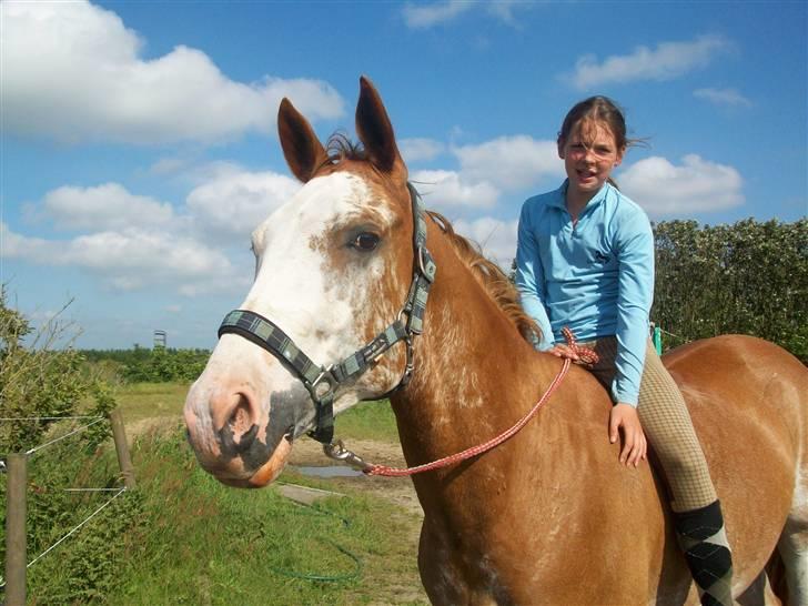 Paint Gamblers Zip Enough solgt billede 1