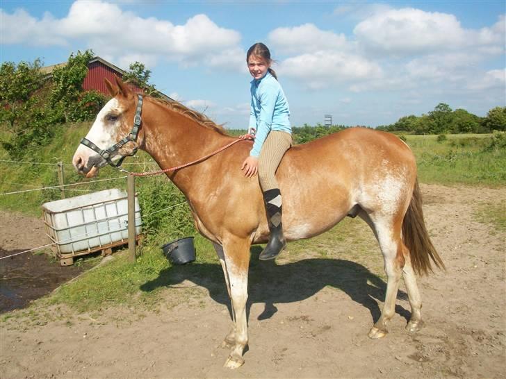 Paint Gamblers Zip Enough solgt billede 9