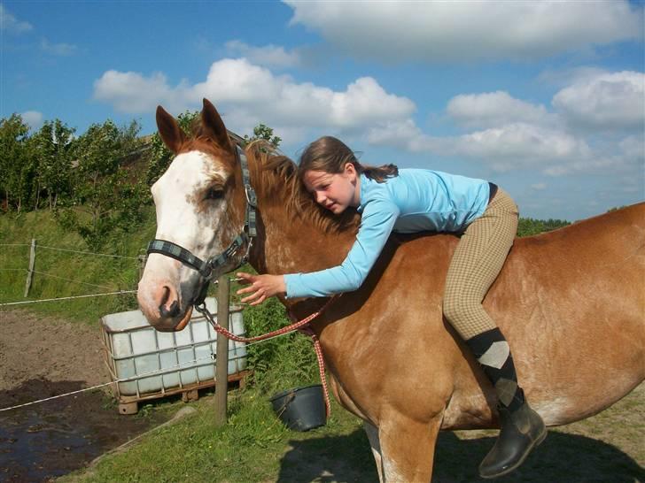 Paint Gamblers Zip Enough solgt billede 10