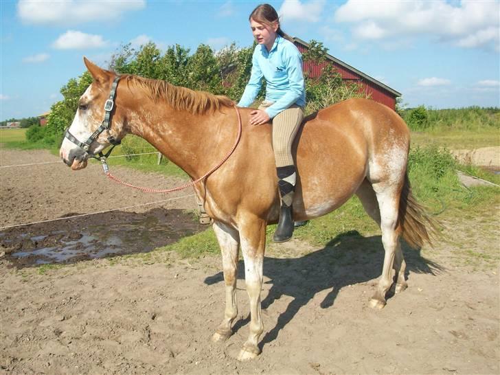 Paint Gamblers Zip Enough solgt billede 12