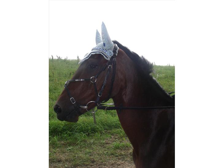 {{currentPhoto.altText}} billede {{currentPhoto.number}}