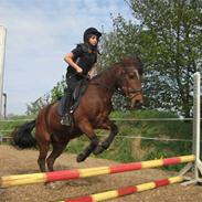 Anden særlig race grunk