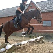 Anden særlig race grunk