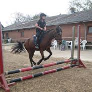 Anden særlig race grunk