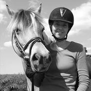 Fjordhest Ulla *sov godt*