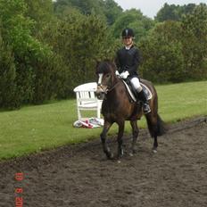 Anden særlig race Flico du pont *x-part*