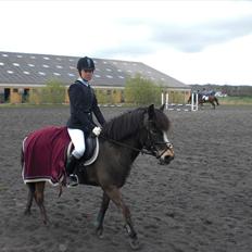 Anden særlig race Flico du pont *x-part*