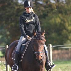 Anden særlig race Khanyze